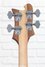 Rickenbacker 4003/4 AC Al Cisneros model, Natural Walnut: Headstock - Rear