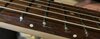 Rickenbacker 330/6 , Mapleglo: Neck - Front