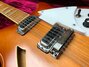 Rickenbacker 360/12 , Autumnglo: Close up - Free2