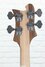 Rickenbacker 4003/4 AC Al Cisneros model, Natural Walnut: Headstock - Rear