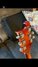 Rickenbacker 480/6 , Fireglo: Headstock - Rear
