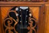 Rickenbacker Electro Spanish/6 Round Neck, Black: Headstock