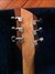 Rickenbacker 650/6 Dakota, Natural Walnut: Headstock - Rear