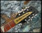 Rickenbacker 660/12 , Jetglo: Headstock