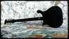 Rickenbacker 660/12 , Jetglo: Full Instrument - Rear