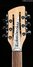 Rickenbacker 620/12 , Mapleglo: Headstock