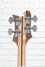 Rickenbacker 4003/4 , Mapleglo: Headstock - Rear