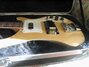 Rickenbacker 4003/4 , Mapleglo: Free image