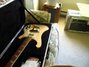 Rickenbacker 4003/4 , Mapleglo: Full Instrument - Front