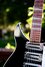 Rickenbacker 350/6 SH, Jetglo: Close up - Free