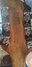 Rickenbacker 450/6 Mod, Fireglo: Headstock - Rear