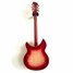 Rickenbacker 360/12 C63, Fireglo: Full Instrument - Rear