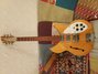 Rickenbacker 1998/6 RoMo, Mapleglo: Full Instrument - Front