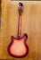 Rickenbacker 360/6 , Fireglo: Full Instrument - Rear