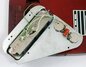 Rickenbacker 100/6 LapSteel, Red: Close up - Free2