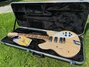 Rickenbacker 1993/12 Plus, Mapleglo: Full Instrument - Front