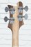 Rickenbacker 4003/4 AC Al Cisneros model, Natural Walnut: Headstock - Rear