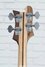 Rickenbacker 4003/4 , Mapleglo: Headstock - Rear