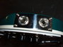 Rickenbacker 620/12 , Turquoise: Close up - Free2