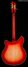 Rickenbacker 360/6 , Fireglo: Full Instrument - Rear
