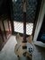 Rickenbacker 330/6 , Mapleglo: Full Instrument - Front
