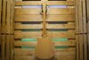 Rickenbacker 360/12 , Mapleglo: Full Instrument - Rear