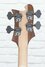 Rickenbacker 4003/4 AC Al Cisneros model, Natural Walnut: Headstock - Rear