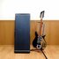 Rickenbacker 325/6 V59, Jetglo: Full Instrument - Front