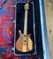 Rickenbacker 650/6 Sierra, Natural Walnut: Free image2