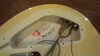 Rickenbacker 4003/4 , White: Free image
