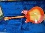 Rickenbacker 360/6 O.S., Fireglo: Full Instrument - Rear