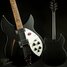 Rickenbacker 330/6 , Matte Black: Free image