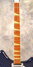 Rickenbacker 365/6 , Azureglo: Neck - Front