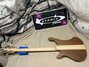 Rickenbacker 4003/4 S, Natural Walnut: Full Instrument - Rear