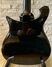 Nov 1990 Rickenbacker 610/12 , Jetglo: Body - Rear