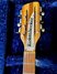 Rickenbacker 366/12 , Mapleglo: Headstock