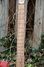 Rickenbacker 450/6 Combo, Fireglo: Neck - Front