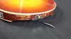 Rickenbacker 360/6 Capri, Autumnglo: Close up - Free2