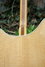 Rickenbacker 6005/6 Banjoline, Mapleglo: Free image2