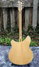 Rickenbacker 6005/6 Banjoline, Mapleglo: Full Instrument - Rear