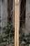 Rickenbacker 6005/6 Banjoline, Mapleglo: Neck - Rear