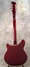 Rickenbacker 360/12 L Davis refin, Custom: Full Instrument - Rear
