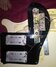 Rickenbacker 481/6 Slant Fret, White: Free image