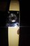 Rickenbacker 481/6 Slant Fret, White: Close up - Free