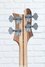 Rickenbacker 4003/4 CB Checkered Binding, Satin Mapleglo: Headstock - Rear