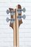 Rickenbacker 4003/4 CB Checkered Binding, Satin Mapleglo: Headstock - Rear