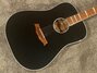 Rickenbacker 730/6 Laramie, Jetglo: Body - Front