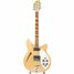 Rickenbacker 360/6 , Mapleglo: Full Instrument - Front
