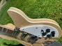 Rickenbacker REMOVEME/12 Plus, Mapleglo: Free image2