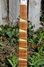 Rickenbacker 370/6 , Fireglo: Neck - Front